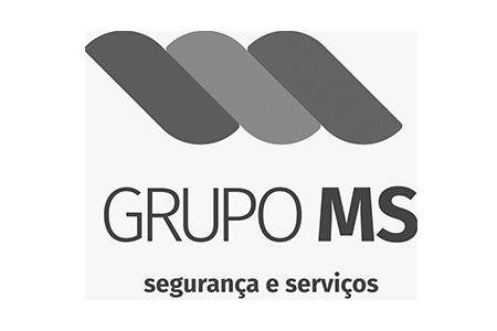 Grupo MS Segurança e Serviços